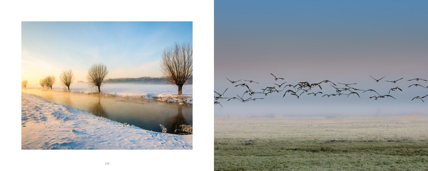 Fotos_Zeeland_Winter_Zwerm_Vogels_website