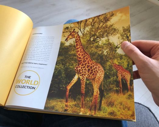 Word Collection Zuid-Afrika boek in hand